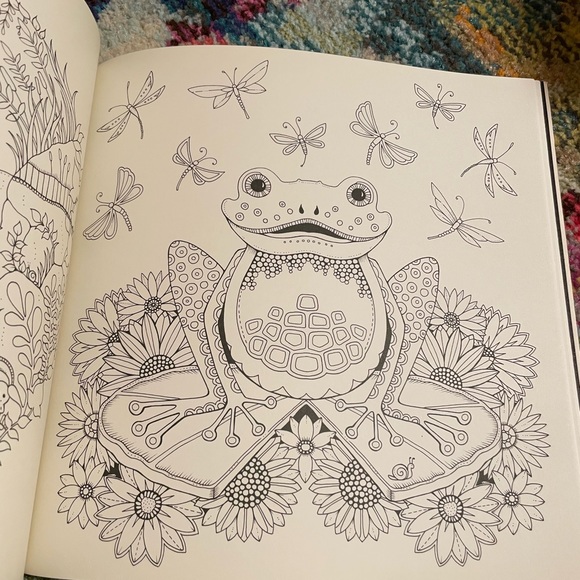 Enchanted Forest Adult Coloring Book by Johanna Basford - Picture 3 of 6